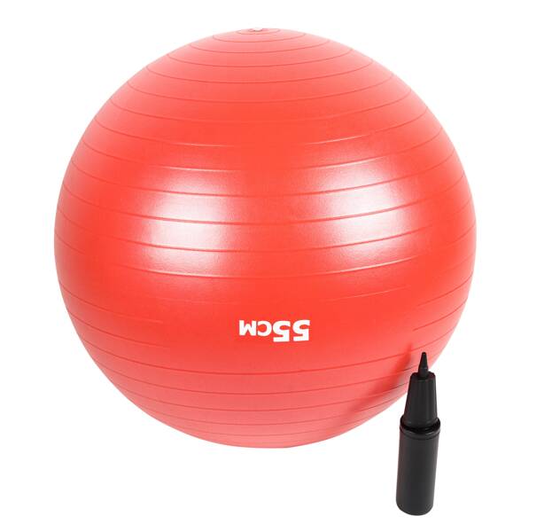 Мяч гимнастический PX-SPORT 55 см
